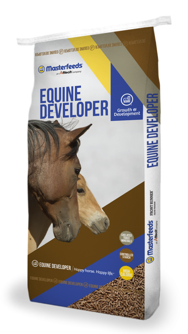 Feeding the Mare and Foal Masterfeeds