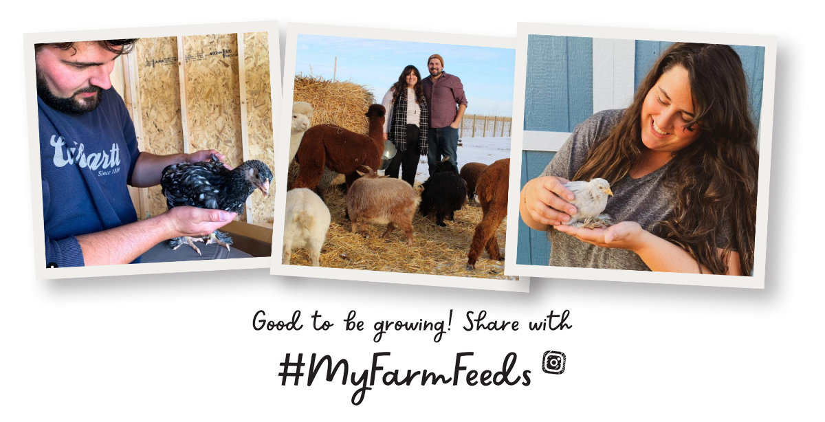 Farm Choice Feeds
