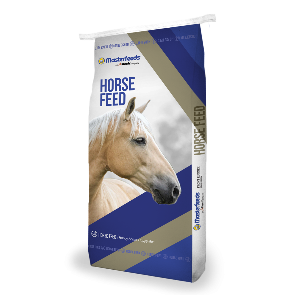 Budget-friendly horse feed