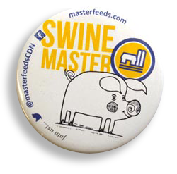 Masterfeeds Badge