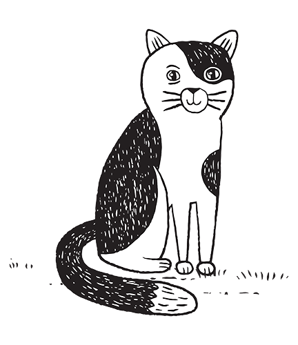 Download Cat Drawing