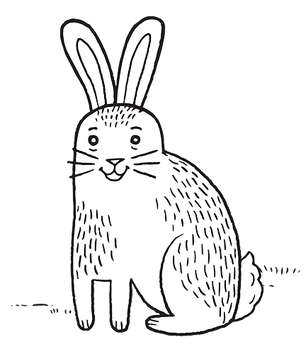 Download Rabbit Drawing