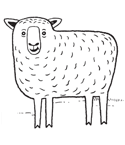 Download Sheep Drawing